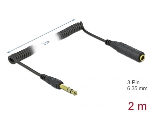 DeLOCK 85938, 6.35mm, Uros, 6.35mm, Naaras, 2 m, Musta