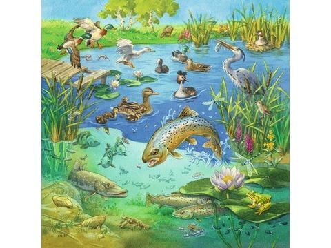 Ravensburger Puslespill 3x49 biter Zwierzece siedlska