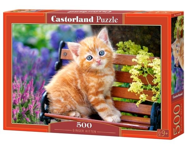 Castorland Ginger kitten 500 pcs, 500 kpl, Eläimistö, 9 vuosi/vuosia