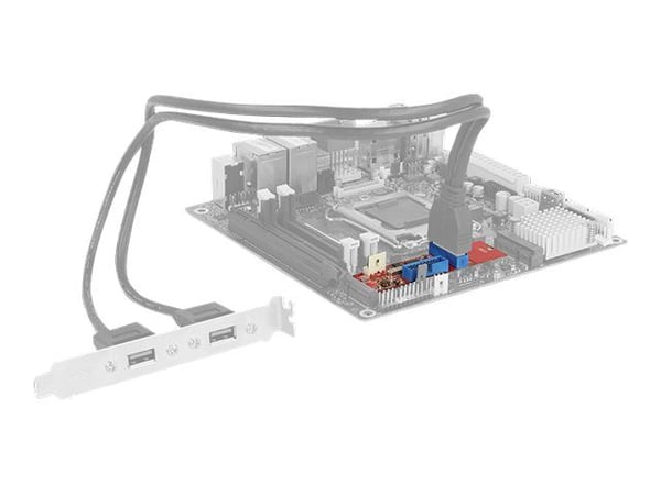 Delock-konverter M.2-nøkkel B+M-plugg > 2 x USB 3.0-hodeplugg (62843)