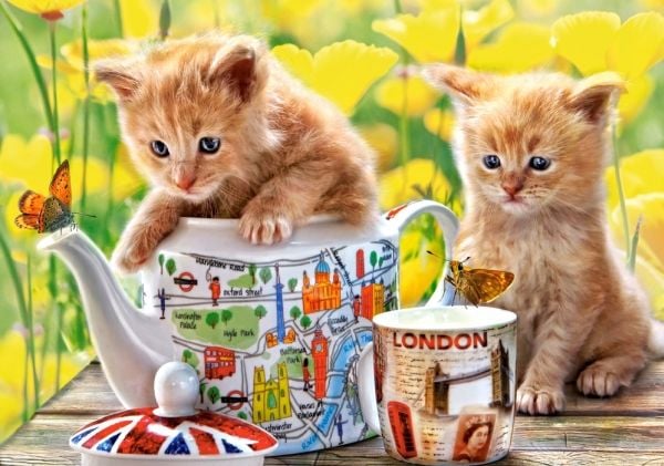 Castorland Tea Time 500 pcs, 500 kpl, Kasvisto, 9 vuosi/vuosia