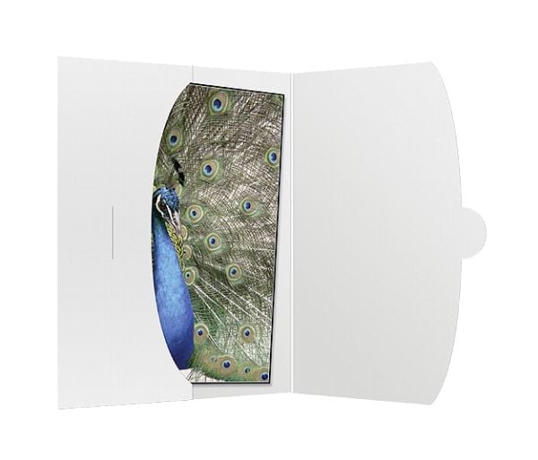 Daiber 09021, papper, Vit, 15 x 20 cm