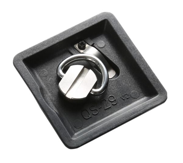 Vanguard QS-29, Sort