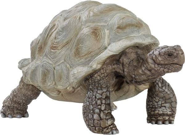 Schleich Wild Life - Giant tortoise