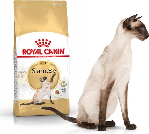 Royal Canin Siamese, Adult, Siameser, Fjærfe, 2 kg, Antioksidanter medfølger
