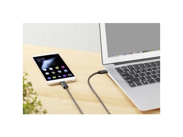 Renkforce RF-4381068, 0,5 m, USB C, USB C, USB 3.2 Gen 2 (3.1 Gen 2), 10000 Mbit/s, Sort