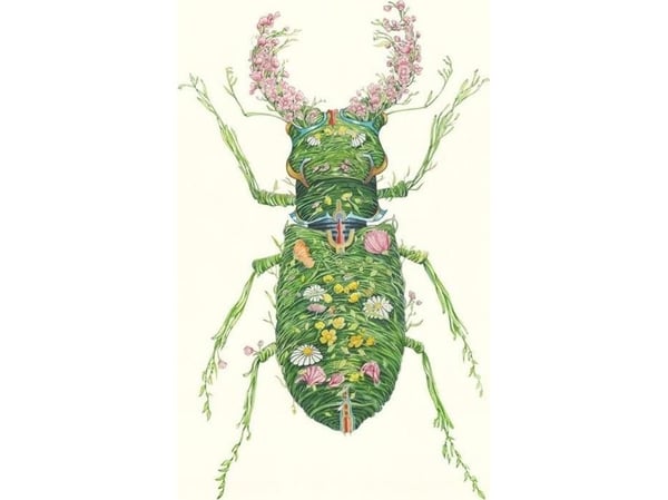 A110 B6 carnet + konvolutt Beetle