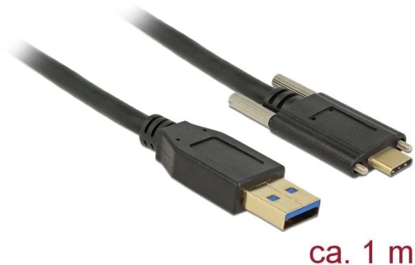 Delock - USB-kaapeli - USB Type A (han) til USB-C (han) - USB 3.1 Gen 2 - 3 A - 1 m - tommelskruer - sort