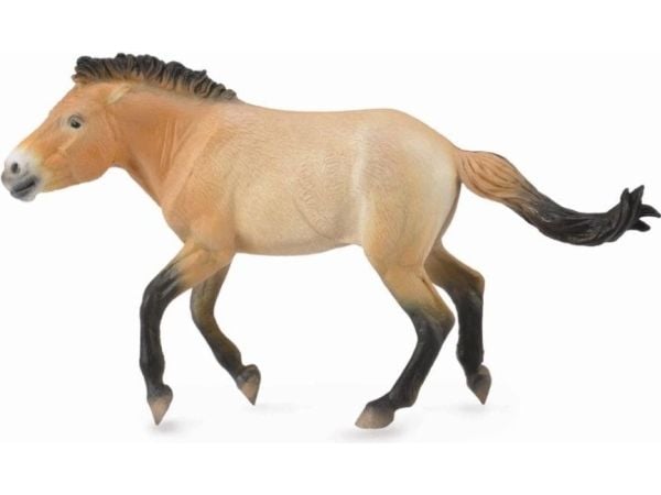 Collecta Stallion Przewalski-figur (88602)