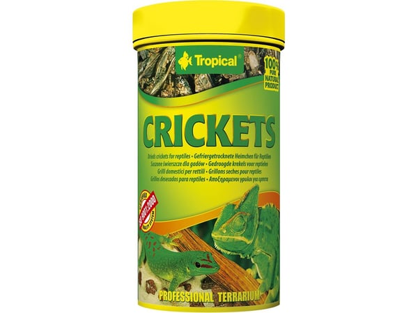 Tropical CRICKETS 100 ml (29549)
