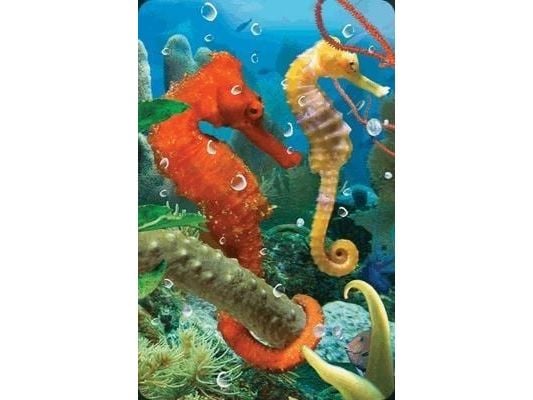 Worth Keeping Mini 3D card Seahorse