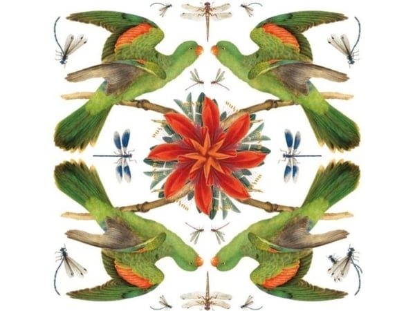 Museer & gallerier - gavekort kvadrat med konvolutt Red-winged Parrot