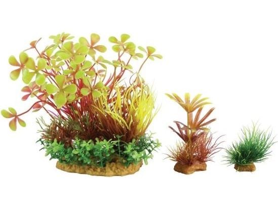 Zolux Plant decoration PlantKit Wiha model 4 (352143)