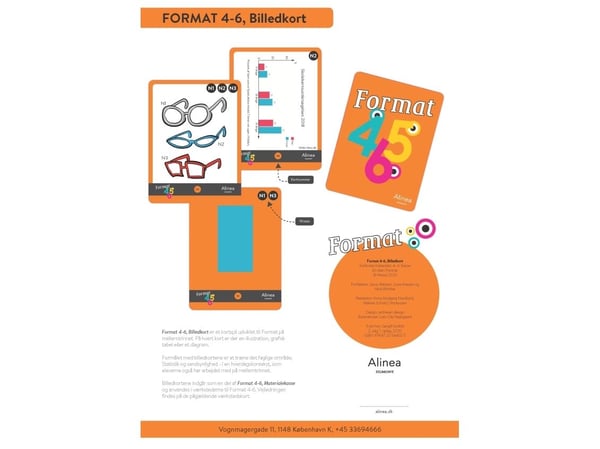 Format 4–6, Bildekort | Janus Madsen;Lone Anesen;Nina Winther Arnt | Språk: Dansk