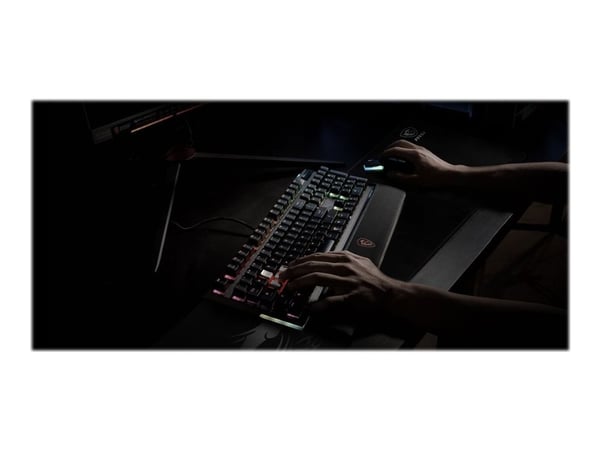 MSI Agility GD70 - Musematte