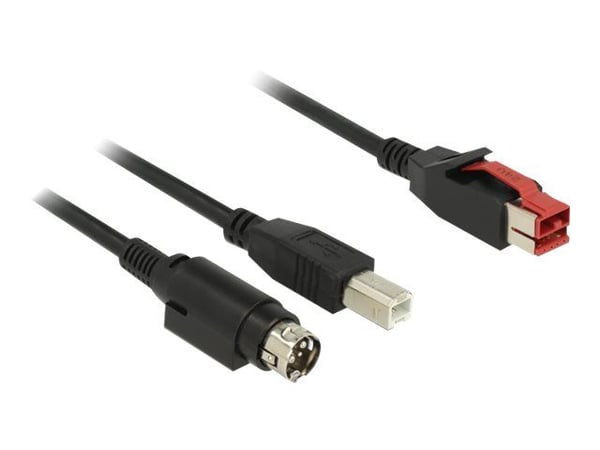 Delock - Vahvistettu USB-kaapeli - USB PlusPower (24 V) (uros) - USB Type B, Power mini-DIN (uros) - 24 V - 5 m - musta - musta