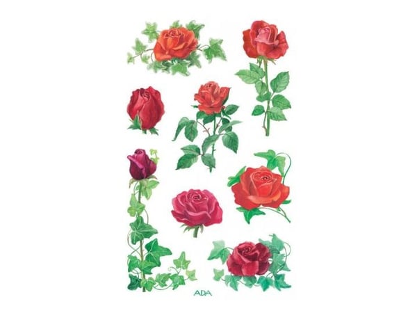 Avery 54261, Paperi, Monivärinen, Kiinteä, 76 mm, 120 mm, 24 kpl