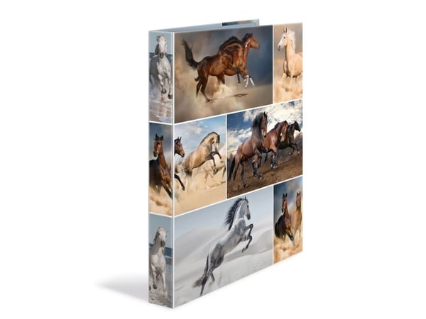 HERMA 19360, A4, Fotoark kartong, Flerfarget, 3,5 cm, 260 mm, 315 mm