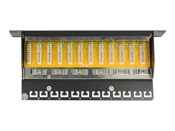 Delock - Koblingspanel - CAT 6 - RJ-45 X 12 - lysegrå - 1U - 10"