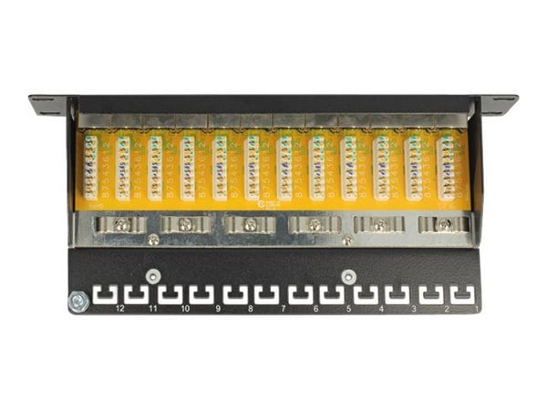 Delock - Koblingspanel - CAT 6 - RJ-45 X 12 - svart - 1U - 10"