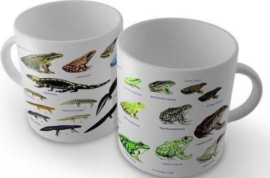 Soliton Mug Sammakkoeläimet