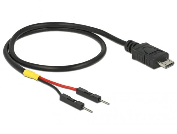 Delock - USB/strøm-kabel - Micro-USB type B (hann) til 2-pins USB-header (hann) separat - 30 cm - svart