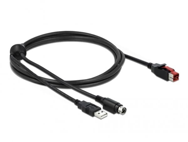 Delock - Strømforsynt USB-kabel - USB PlusPower (24 V) (hann) til USB, Power mini-DIN (hann) - 24 V - 2 m - svart