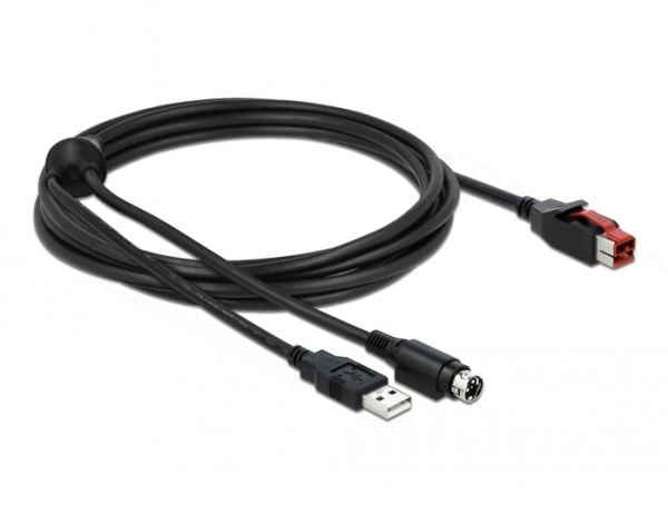 Delock - Strømforsynt USB-kabel - USB PlusPower (24 V) (hann) til USB, Power mini-DIN (hann) - 24 V - 3 m - svart