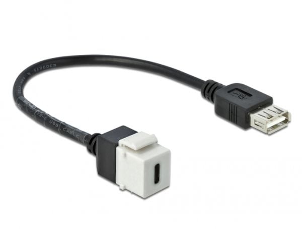 Delock - Modulär insättning - USB Typ C - vit