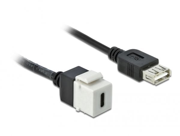 Delock - Modulär insättning - USB Typ C - vit