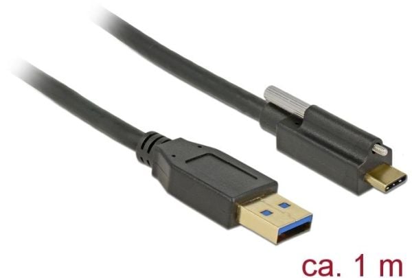 Delock - USB-kabel - USB-type A (hann) til USB-C (hann) - USB 3.1 Gen 2 - 3 A - 1 m - tommelskruer - svart