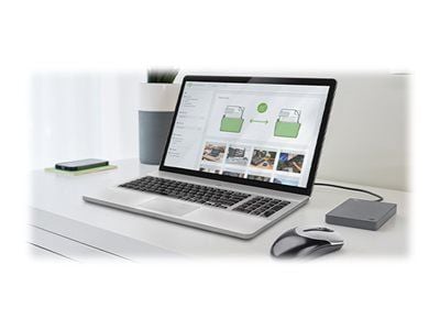 Seagate Basic STJL5000400 - Hårddisk - 5 TB - extern (portabel) - USB 3.0 - grå