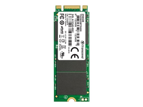 Transcend MTS600 - SSD - 256 GB - intern - M.2 2260 - SATA 6Gb/s