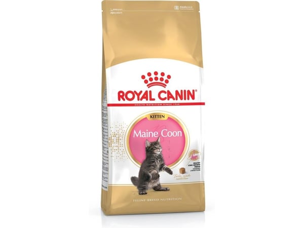 Royal Canin Maine Coon Kitten, Kattunge, Maine coon, Fjærfe, Ris, 400 g, Antioksidanter medfølger