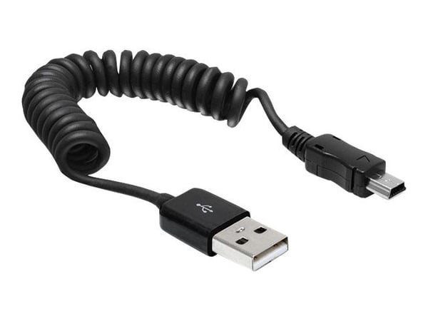 Delock - USB-kabel - USB (hann) til mini-USB type B (hann) - 60 cm - rullet sammen - svart