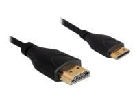 Delock High Speed HDMI with Ethernet - HDMI-kabel med Ethernet - HDMI hann til 19 pin mini HDMI Type C hann - 1 m