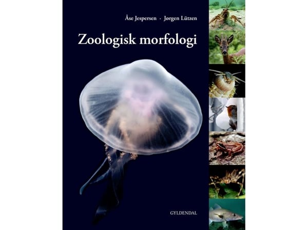 Zoologisk morfologi | Åse Jespersen; Jørgen Lützen | Språk: Dansk