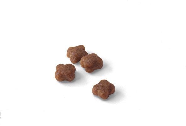 Royal Canin Mother & Babycat, 2 kg, Antioksidanter medfølger