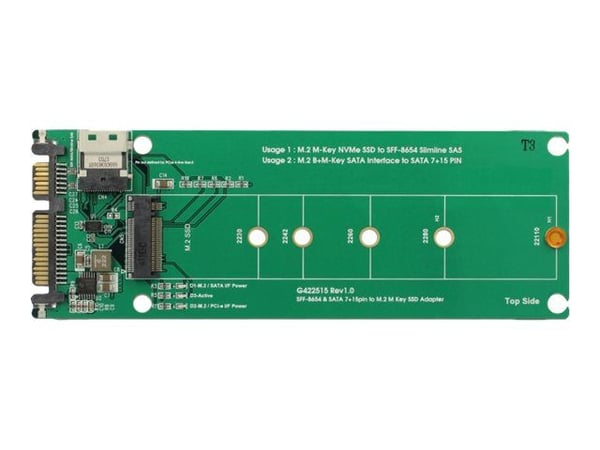 Delock U.2 SFF-8654 or SATA Converter to 1 x M.2 Key M slot - Diskkontroller - M.2 - M.2 NVMe Card / SATA 6Gb/s - PCIe, SATA 6Gb/s