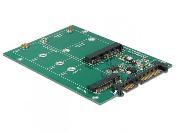 Delock Converter SATA 22 Pin > 1 x M.2 NGFF + 1 x mSATA - Adapter för lagringsfack - 2,5-tums till mSATA/M.2