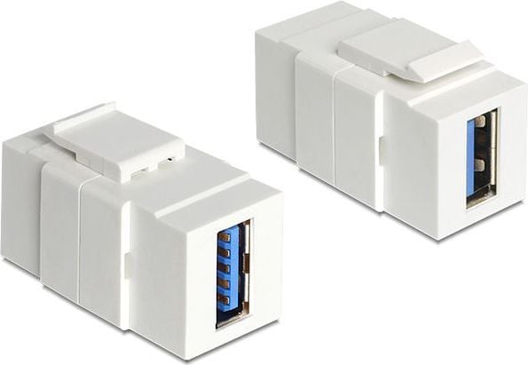 Delock - Modulär insats (koppling) - SuperSpeed USB