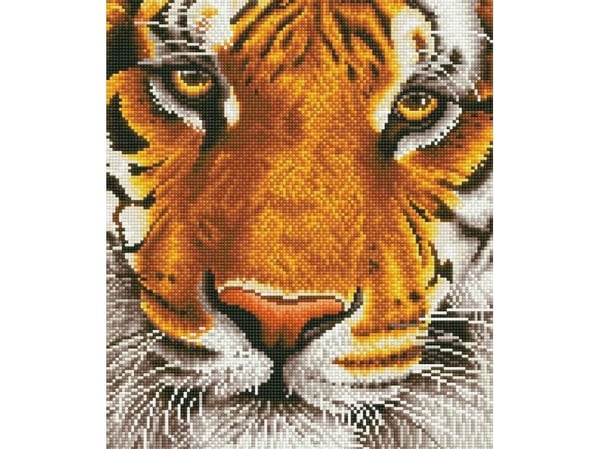 DIAMOND DOTZ ADULTS BENGAL MAGIC DIAMOND DOTZ ADULTS BENGAL MAGIC