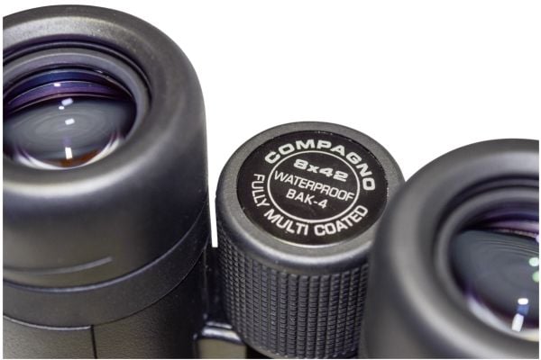 BRAUN Compagno - Kikkerter 8 x 42 WP - tåkebestandig, vanntett - tak