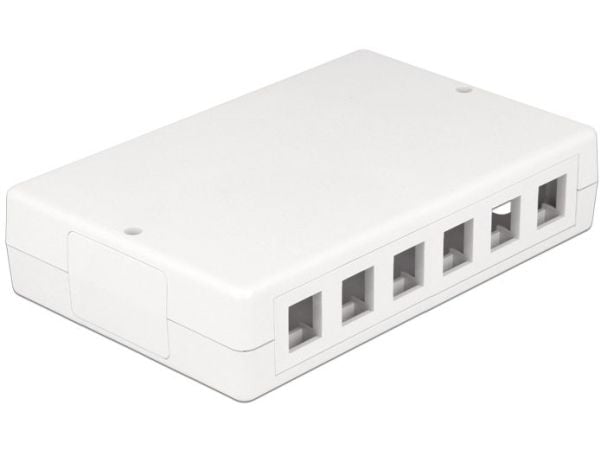 Delock - Overflatemonteringsboks for nettverk - hvit - 12 porter