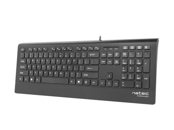 NATEC BARRACUDA, Full størrelse (100 og), Koblet med ledninger (ikke trådløs), USB, Membrannøkkelbryter, QWERTY, Sort