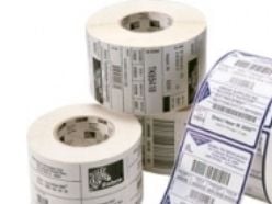 Zebra Z-Select 2000D - Papir - matte - permanent gummiklæbemiddel - belagt - hvit - 25,4 x 38,1 mm 51800 etikett(r) (10 rulle(r) x 5180) etikett - ...
