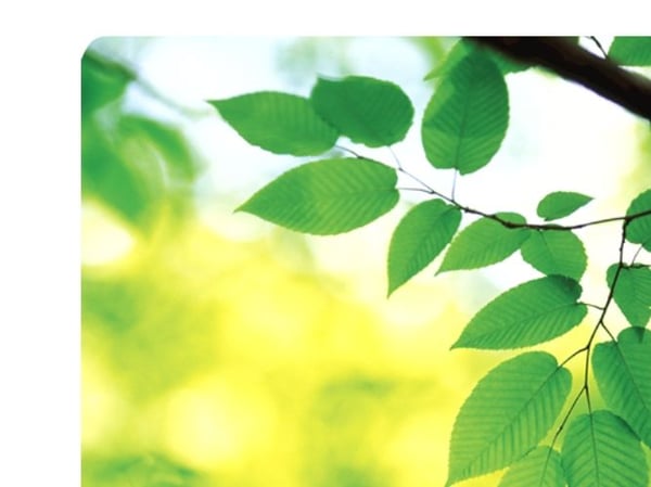 Fellowes Recycled Mouse Pad Leaves - Musematte - multifarge