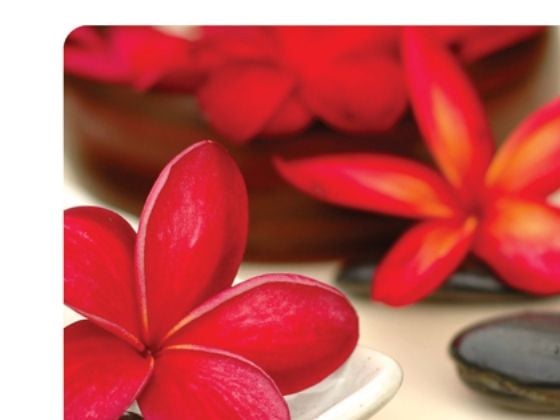 Fellowes Recycled Mouse Pad Spa - Hiirimatto