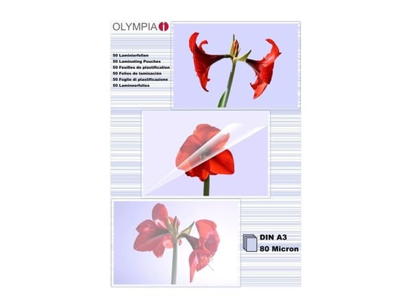 Olympia 1x50 DIN A3 80 micron, Transparent, A3, 50 styck