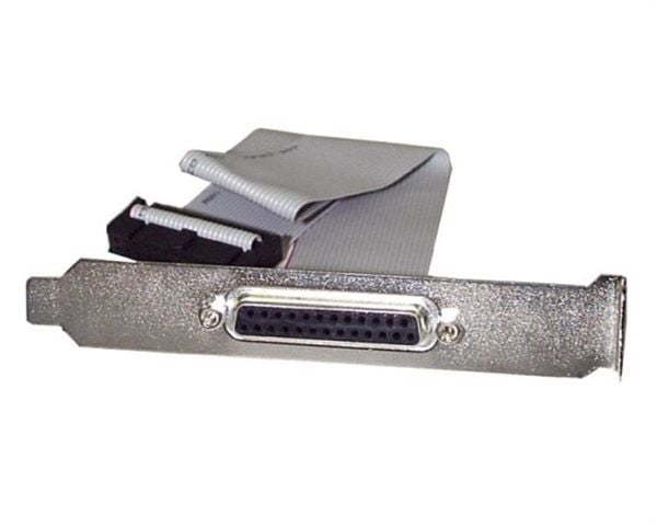 StarTech 16in DB25 Parallel Female to IDC 25 Pin Header Slot Plate (PLATE25F16) - Parallellpanel - DB-25 (hunn) til 26 pin IDC (hunn) - 40.64 cm - grå
